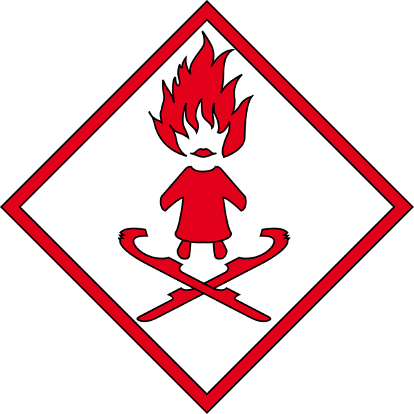 the-firegirl shop